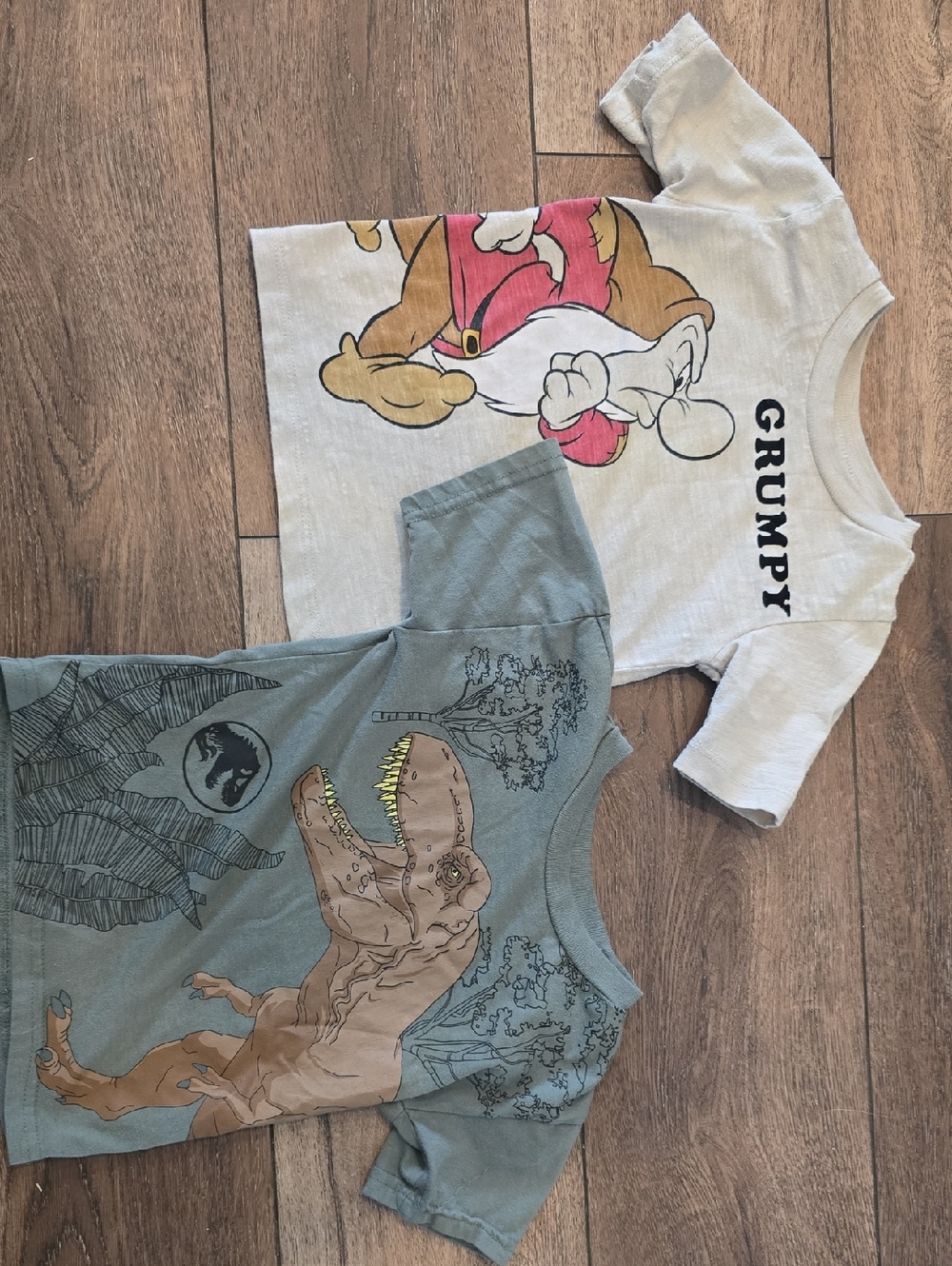 Disney Princess Light Gray Toddler Tee - Soft Neutral